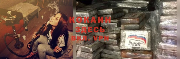 прущие грибы Баксан