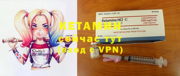 прущие грибы Баксан