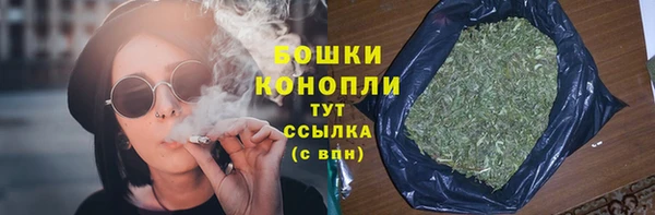 прущие грибы Баксан