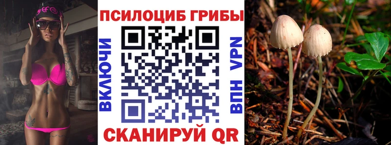 darknet формула  Заводоуковск  Галлюциногенные грибы мицелий 